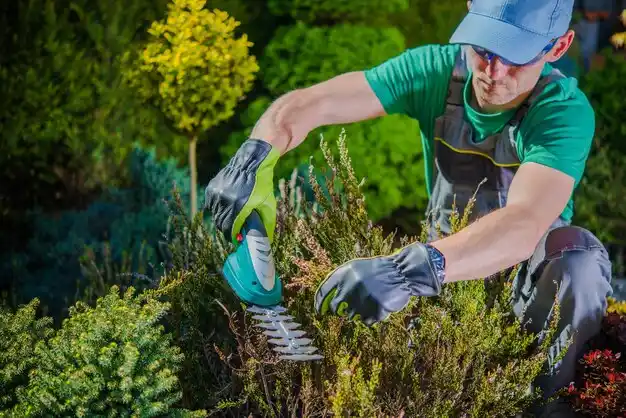 landscaping services Rayville